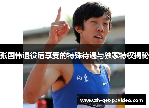 张国伟退役后享受的特殊待遇与独家特权揭秘