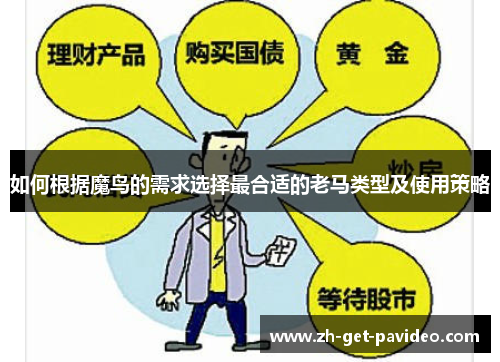 如何根据魔鸟的需求选择最合适的老马类型及使用策略 如何根据魔鸟的需求选择最合适的老马类型及使用策略