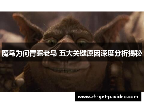 魔鸟为何青睐老马 五大关键原因深度分析揭秘 魔鸟为何青睐老马 五大关键原因深度分析揭秘