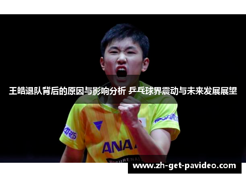 王皓退队背后的原因与影响分析 乒乓球界震动与未来发展展望 王皓退队背后的原因与影响分析 乒乓球界震动与未来发展展望